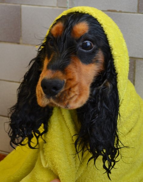 Uprava  19.6.2011 (3).jpg